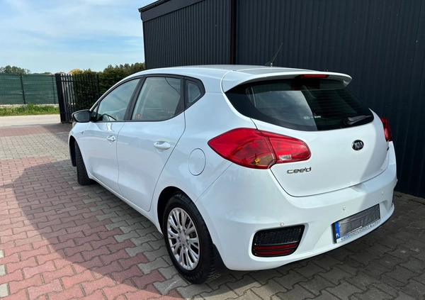 Kia Ceed cena 31999 przebieg: 205000, rok produkcji 2016 z Kielce małe 211